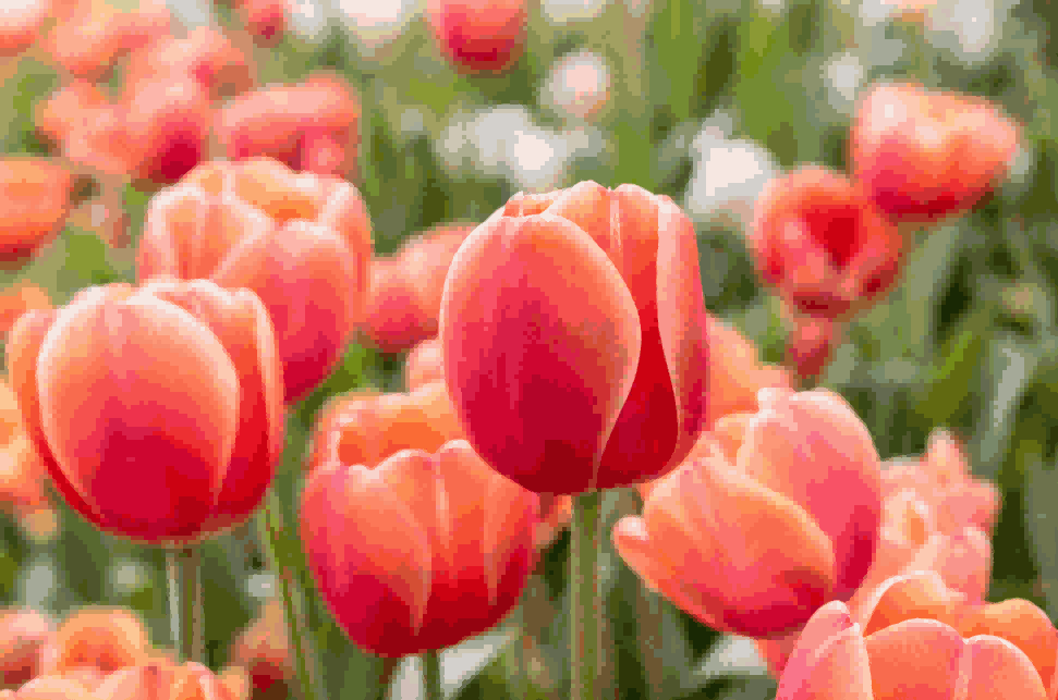 海关数据,威九国际V9海关数据,荷兰海关数据